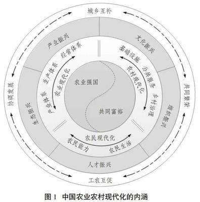 中国农业农村现代化 生成逻辑、内涵特征与推进方略——基于公共关系的服务视角